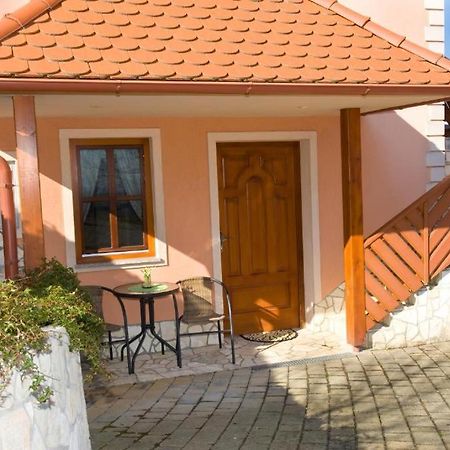 Apartmán Planinca -Hisa Z Razgledom Smarje pri Jelsah Exteriér fotografie
