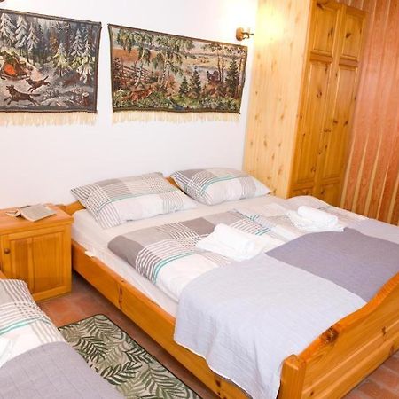 Apartmán Planinca -Hisa Z Razgledom Smarje pri Jelsah Exteriér fotografie