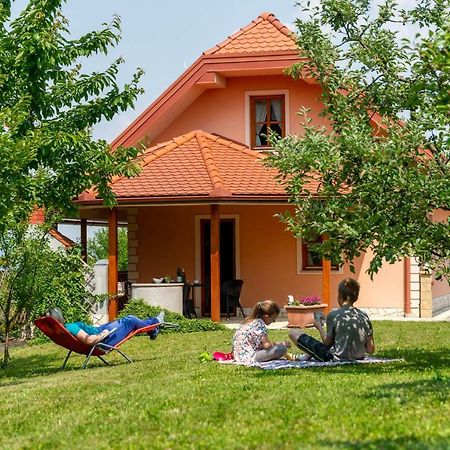 Apartmán Planinca -Hisa Z Razgledom Smarje pri Jelsah Exteriér fotografie