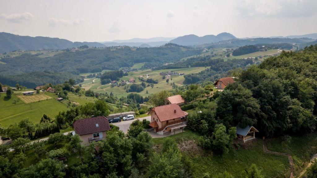 Apartmán Planinca -Hisa Z Razgledom Smarje pri Jelsah Exteriér fotografie