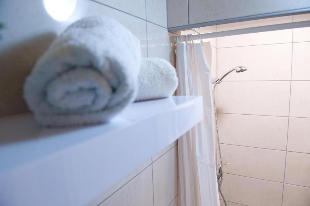 Apartmán Planinca -Hisa Z Razgledom Smarje pri Jelsah Exteriér fotografie