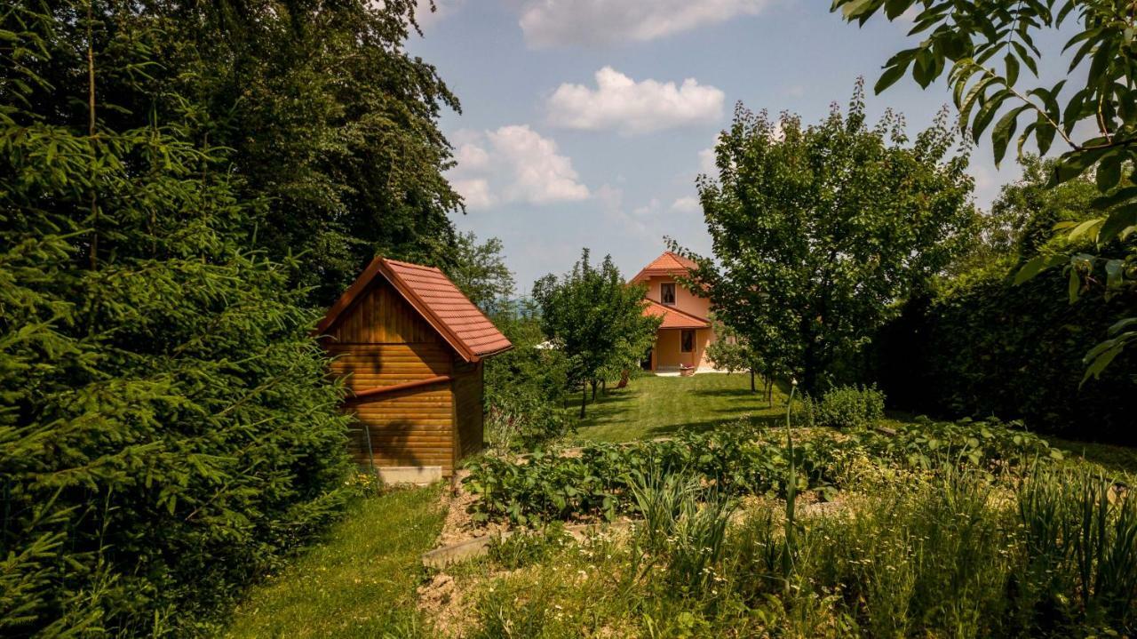 Apartmán Planinca -Hisa Z Razgledom Smarje pri Jelsah Exteriér fotografie