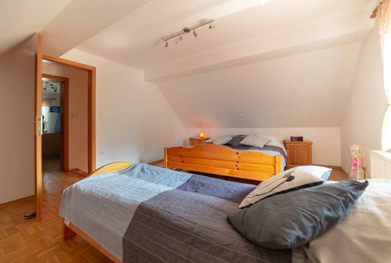 Apartmán Planinca -Hisa Z Razgledom Smarje pri Jelsah Exteriér fotografie