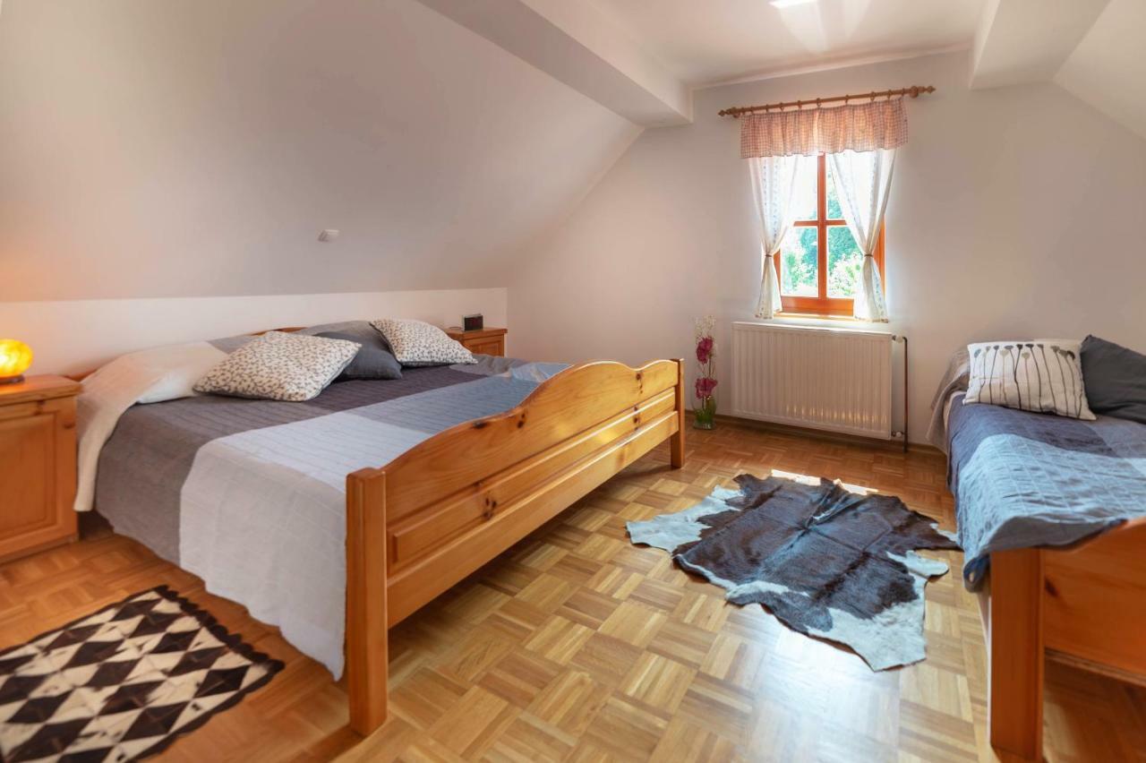 Apartmán Planinca -Hisa Z Razgledom Smarje pri Jelsah Exteriér fotografie