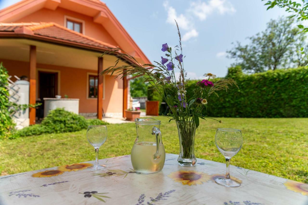 Apartmán Planinca -Hisa Z Razgledom Smarje pri Jelsah Exteriér fotografie