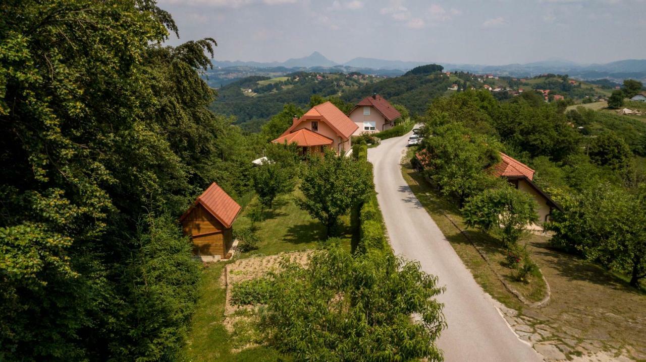 Apartmán Planinca -Hisa Z Razgledom Smarje pri Jelsah Exteriér fotografie