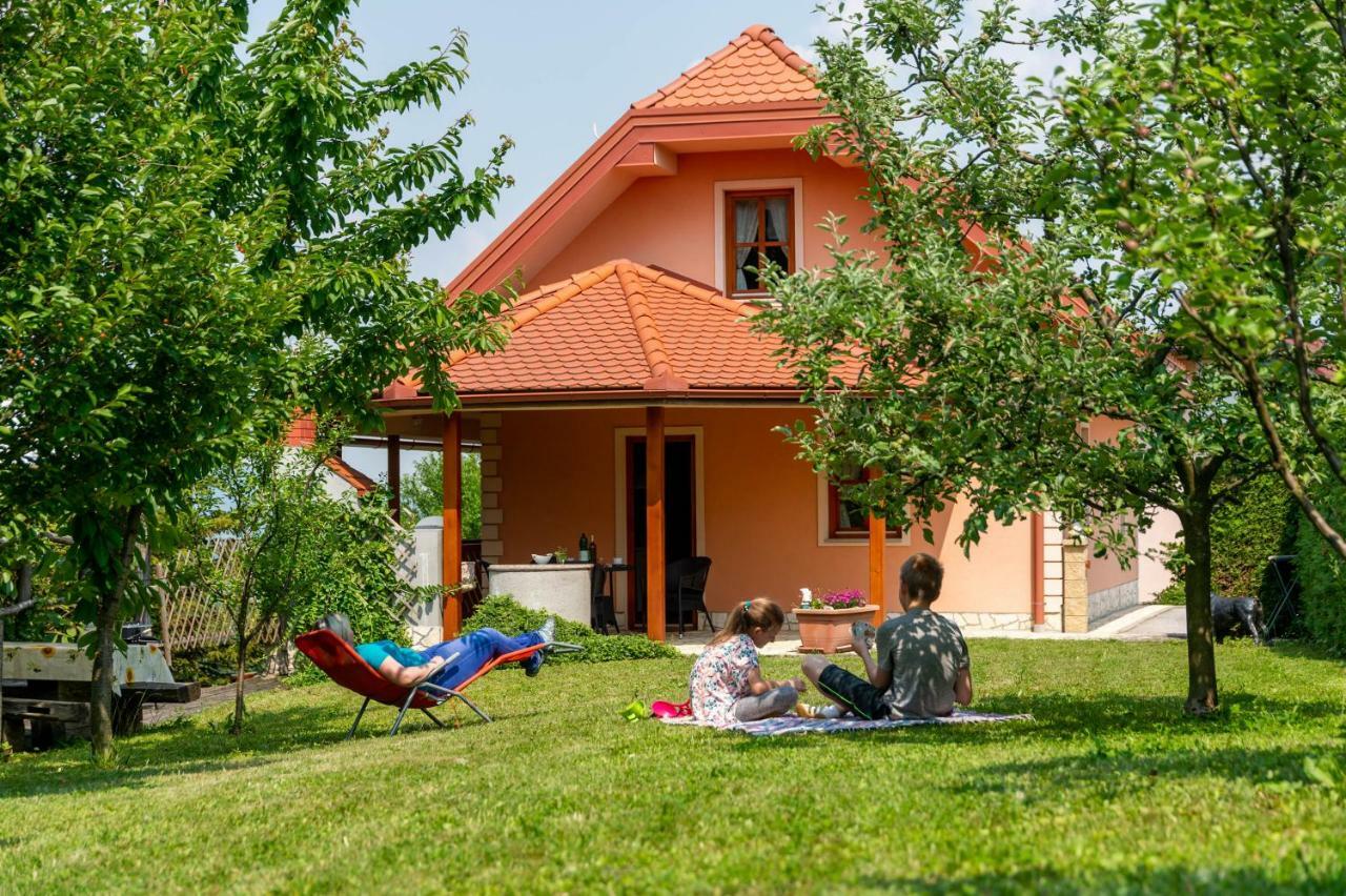 Apartmán Planinca -Hisa Z Razgledom Smarje pri Jelsah Exteriér fotografie