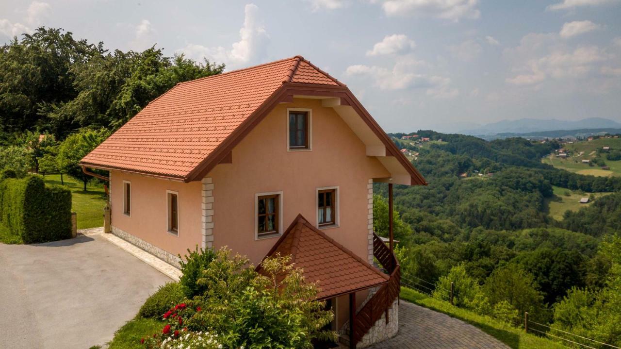 Apartmán Planinca -Hisa Z Razgledom Smarje pri Jelsah Exteriér fotografie